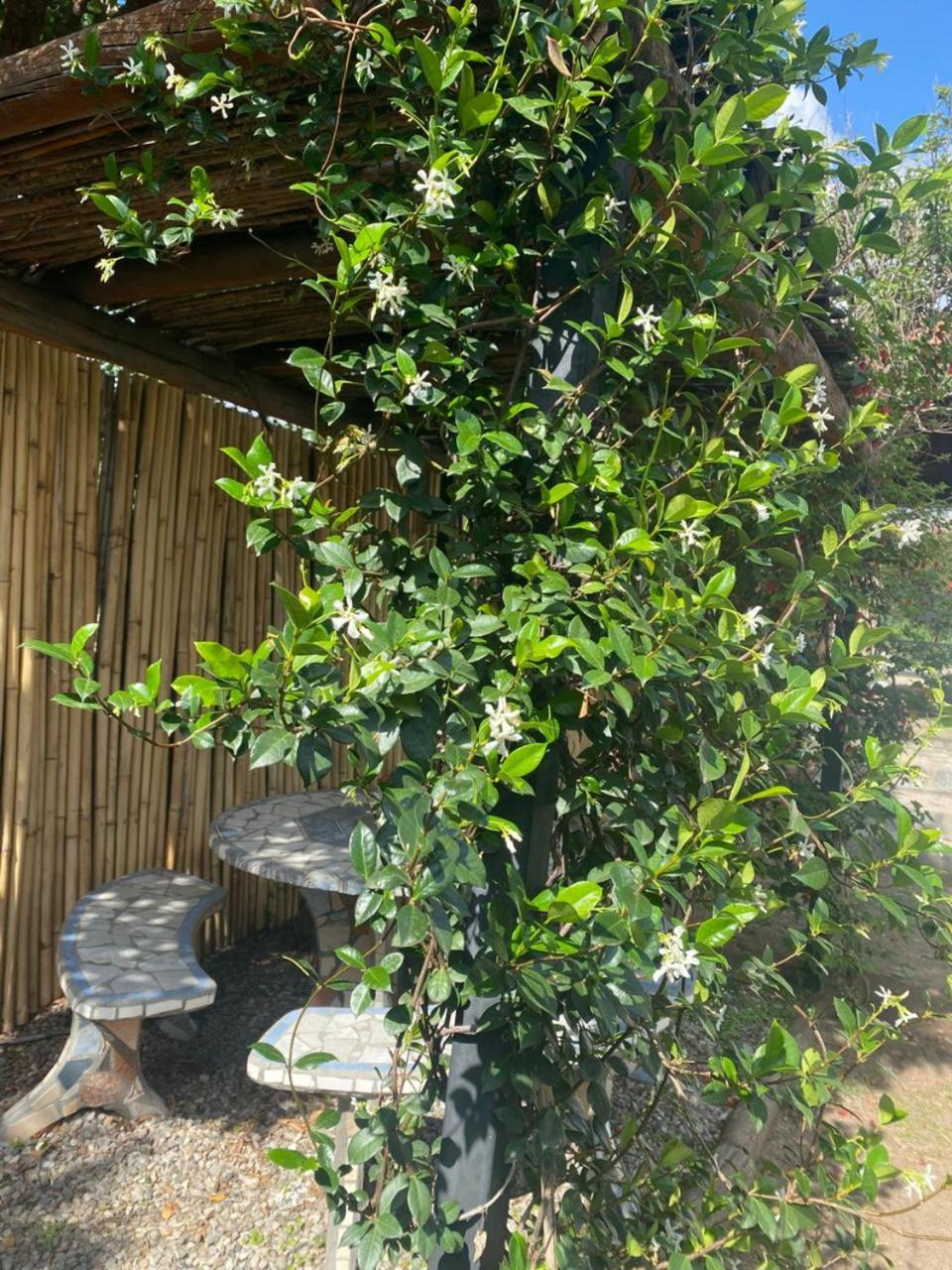 Morada Del Cerro -cabana Algarrobo- *